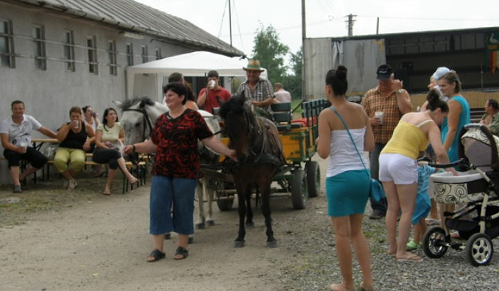 Dni Komároviec 2013