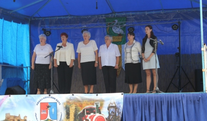 Dni Komároviec 2014