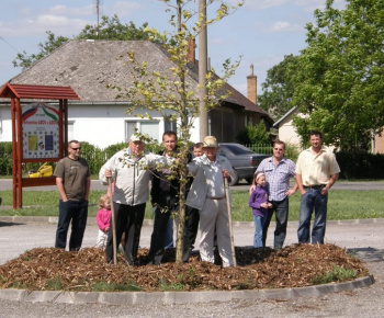 Dni Komároviec 2012
